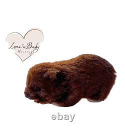 Silicone Brown Bear Adoption Reborn Teddy Gift Set