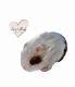 Silicone Hamster, Spotty Eye Hammy Adoption Reborn Hamster Gift Set